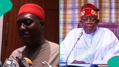 Olisa Metuh Appointed to Key Role in Pro-Tinubu Campaign Initiative for 2027 Election