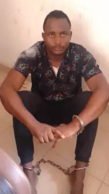 Troops Arrest Suspect, Recover Arms After Attack on Forest Guards in Kaduna