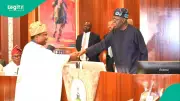 2027 Elections: Analyst Says Opposition Calls for INEC Chairman Resignation a Political Strategy