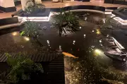British Tourist, 70, Falls from Hotel Balcony into Koi Pond in Lanzarote