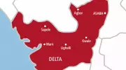 Delta LG Chairman Freed After Days in Kidnappers' Captivity