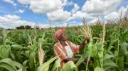 Food Security and Farm Reforms Dominate Vanguard Economic Discourse Agenda