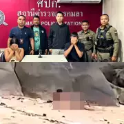 French Couple Fined for Public Sex Act on Thai Beach in Phuket