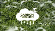 Group Criticizes High Cost and Complexity of Carbon Credit Verification in Nigeria