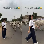 Korean DJ Jin Seoul Music Shares Shock at Cows on Nigerian Expressway
