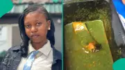 Lady Regrets Buying N1,800 Amala Online After Receiving Cold, Watery Meal