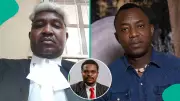 Lawyer Criticizes Blord's Actions, Advises Sowore on VeryDarkMan Petition