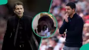 Mysterious Cat Predicts Atletico Madrid vs Arsenal UCL Semi-Final