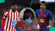 Mysterious Cat Predicts Barcelona Comeback in Champions League Quarter-Final