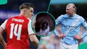 Mysterious Cat Predicts Draw for Decisive Premier League Clash Between Man City and Arsenal