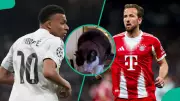 Mysterious Cat Predicts Real Madrid vs Bayern Munich UCL Semifinal Outcome