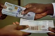 Naira Holds Steady Against Dollar in Official Market, Parallel Rates Remain Elevated