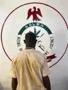 NDLEA Nabs Suspected Drug Dealer Who Jumped from Second Floor in Kano