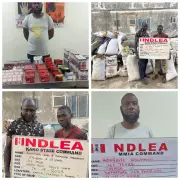 NDLEA Secures 974 Convictions, 11 Kingpins Get 254 Years in Prison