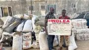 NDLEA Secures 974 Drug Convictions, 11 Kingpins Get 254 Years in Landmark Crackdown
