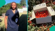 Nigerian Nurse Leaves Australia to Pursue Farming Dream Back Home