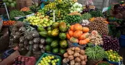 Nigeria's Food Waste Crisis: 38 Million Tonnes Lost Annually Amid Hunger