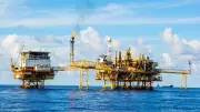 Nigeria's Industrial Future Depends on Local Capacity, Says PANA Holdings CEO