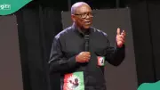 Obidient Movement: Two Forces Will Deliver Automatic Win in 2027 Election