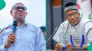 PDP Governor Bala Mohammed Declares Himself Freelance Politician After Meeting Peter Obi