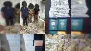 Police Arrest Three Suspects in Lagos for Romance Scam and Impersonation