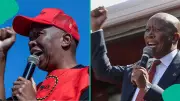 South African Opposition Leader Julius Malema Sentenced to 5 Years in Prison