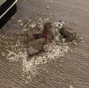 Two Women Banned from All UK Hotels After Trashing Bournemouth Property