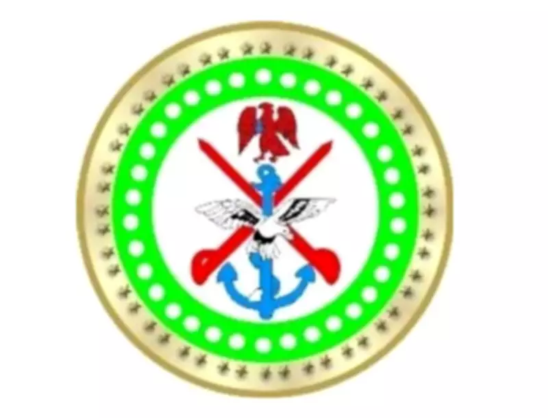 175 terrorists killed in joint Nigeria-US operations in North-East