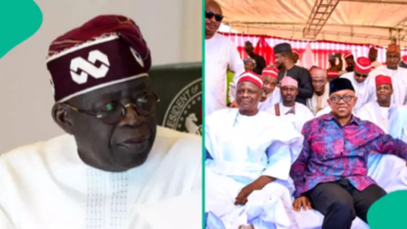 2027 Election: Momodu Claims Tinubu Forced Obi, Kwankwaso Alliance