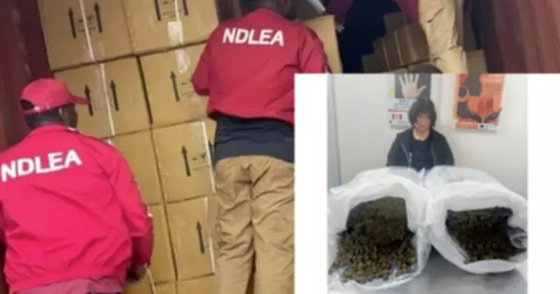 63-Year-Old Chinese Woman Arrested with 31kg Cannabis at Lagos Airport