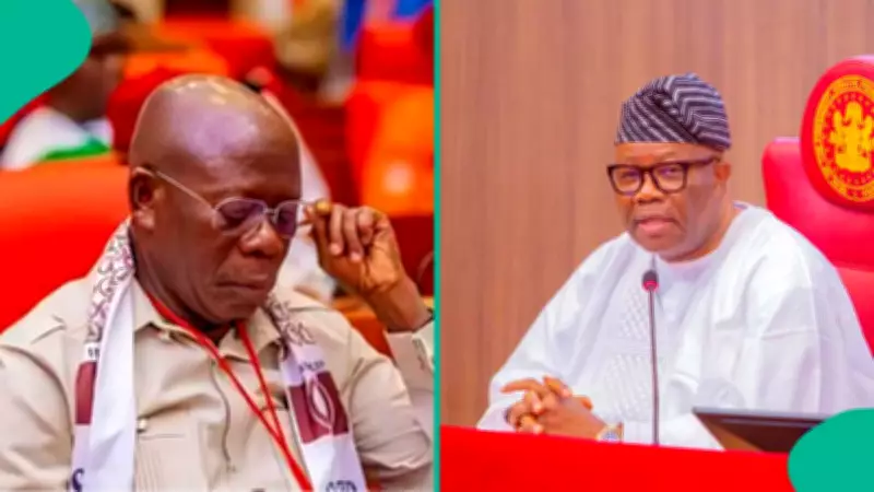 APC Senatorial Primaries: Full List of Winners and Losers Emerge