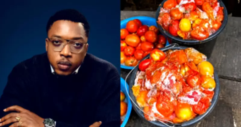 Aproko Doctor Warns Nigerians Against Eating Spoiled Tomatoes