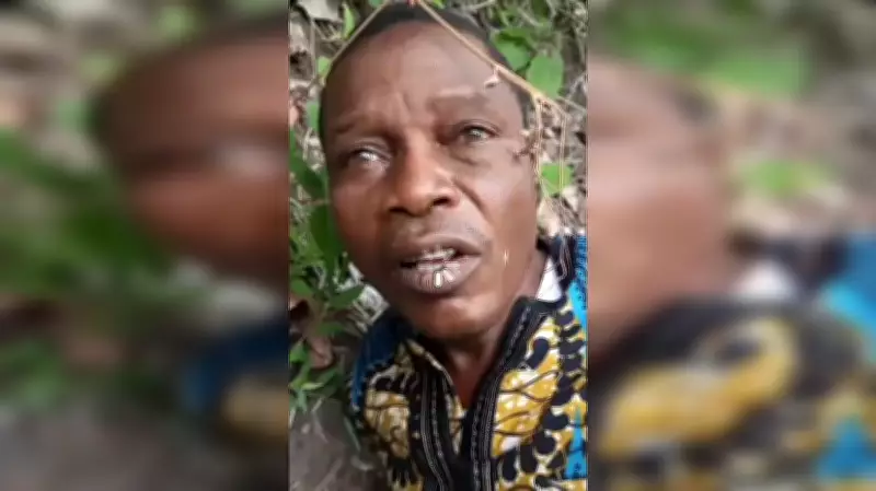 Bandits Kill Abducted Oyo Teacher Michael Oyedokun Amid School Attacks