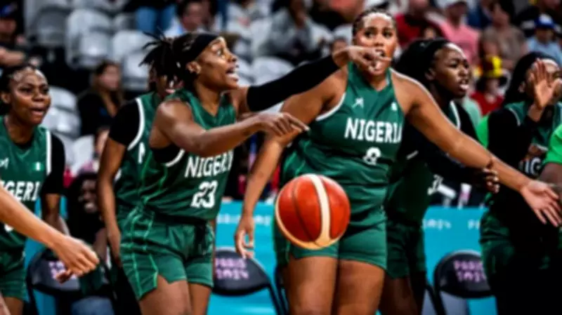 Basketball: Courting Peace for the Courts in Nigeria's NBBF Elections