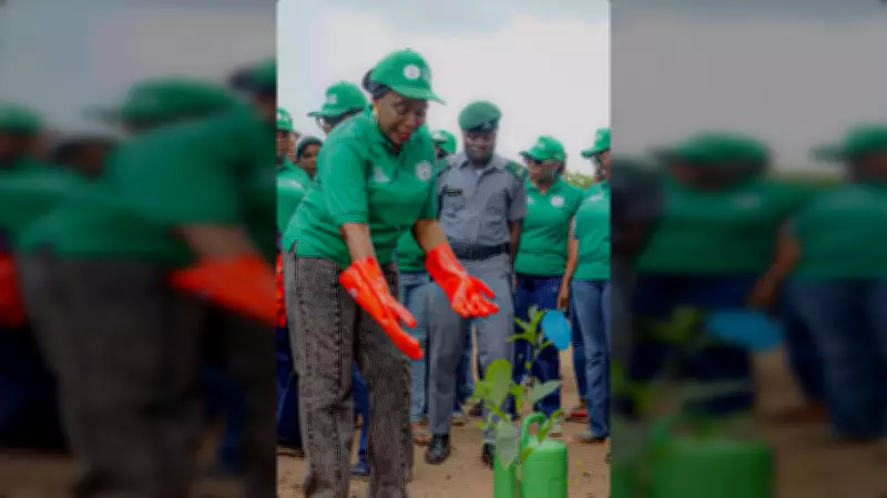 COWA Launches Mass Tree Planting in Imo to Combat Global Warming