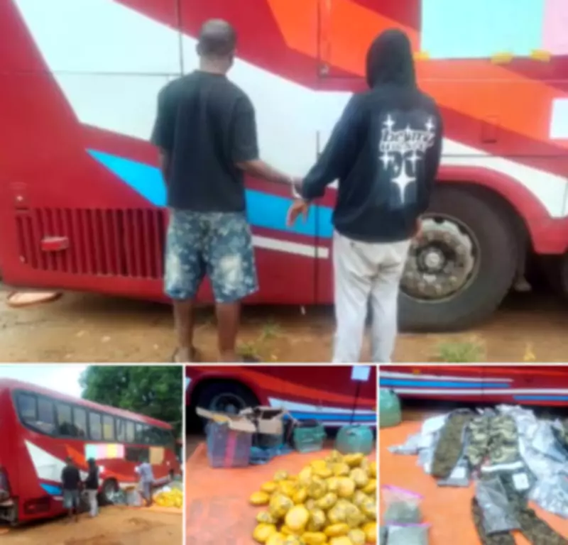 Customs Seizes Bus with Military Camouflage, Drugs Worth N259m in Ogun