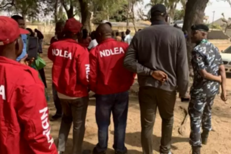 Edo drug suspect who faked death rearrested by NDLEA