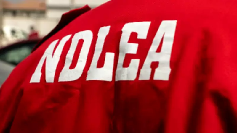 FLPOIF Partners NDLEA to Combat Illicit Farming in Ondo State