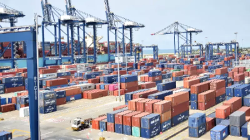 Gender Gap May Worsen Maritime Workforce Shortage, IMO and WMU Warn
