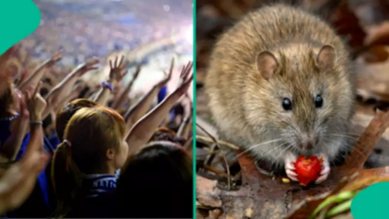 Hantavirus Outbreak Raises Travel Safety Concerns Ahead of World Cup 2026