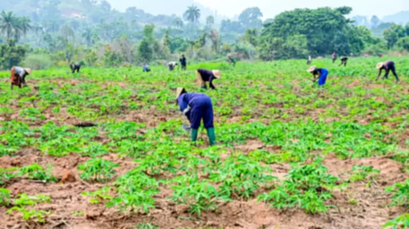 HEDA Laments Gap Between Climate Science and Farmers' Fields in Nigeria