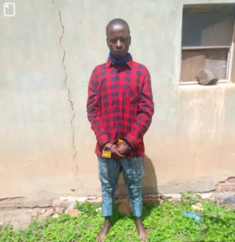 Herder Arrested for Assaulting Farmer in Plateau State