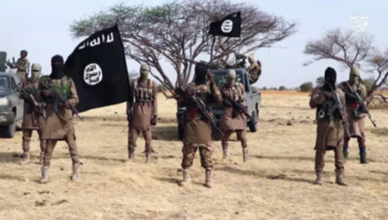 ISWAP Commander Abour Mainok Killed in Joint Nigeria-US Operation in Borno