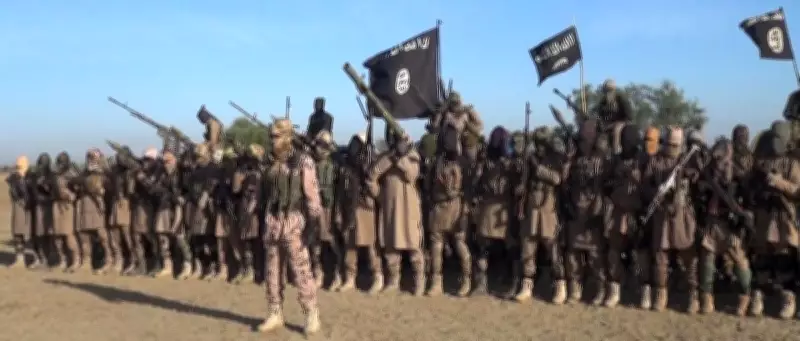 ISWAP Confirms Death of Leader Abu-Bilal al-Mainuki in US Strike