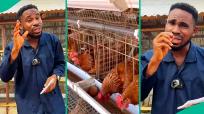 Key Factors to Consider Before Starting Poultry Business in Nigeria