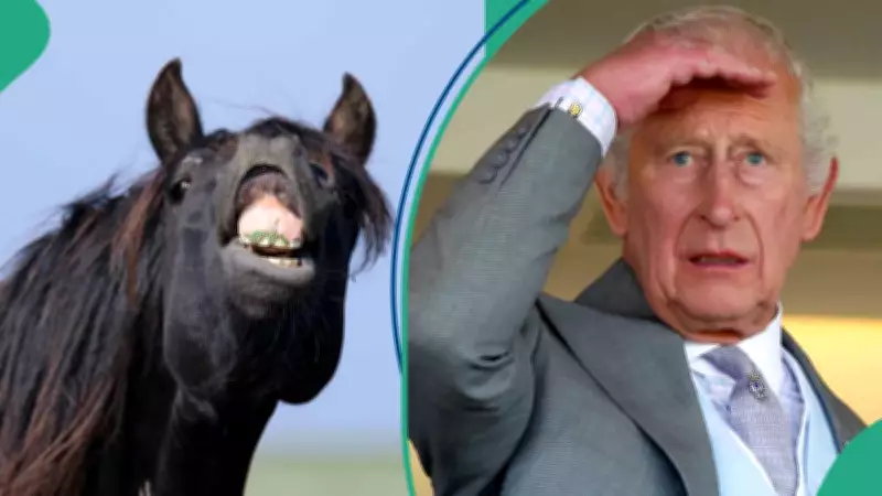 King Charles Mourns Soldier Who Died in Horse Fall at Windsor Show
