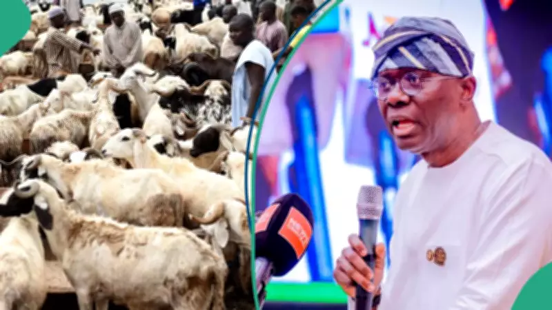 Lagos Bans Ram Sales on Highways Ahead of Eid-el-Kabir Celebrations