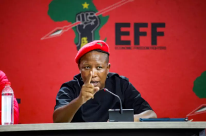Malema Calls Anti-Immigration Marches Clownish, Government-Sponsored