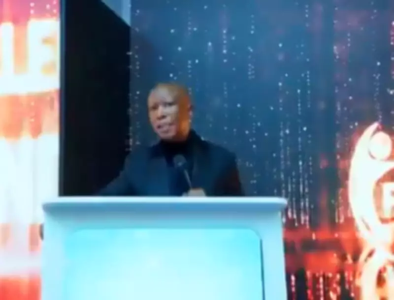 Malema Slams Xenophobic South Africans: 'How Many Jobs Have You Created?'