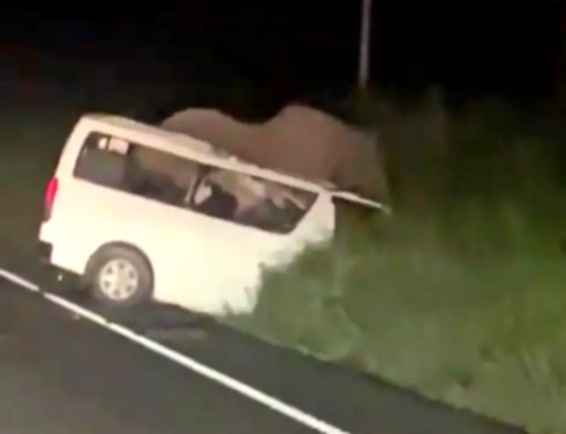 Minibus Hits Elephant in Uganda Park, Killing 3 People